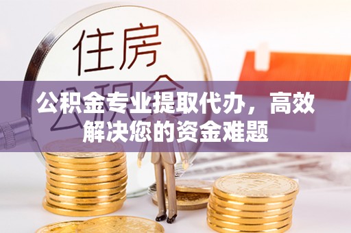 东源公积金专业提取代办，高效解决您的资金难题