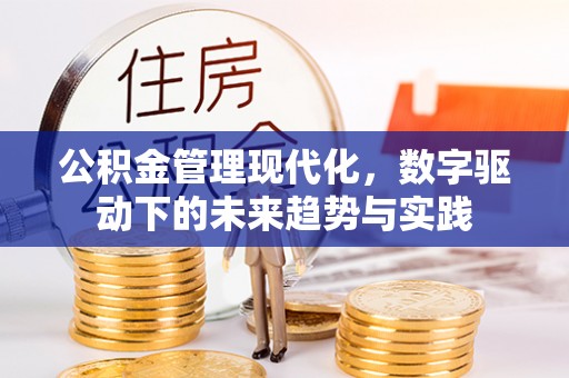 东源公积金管理现代化，数字驱动下的未来趋势与实践
