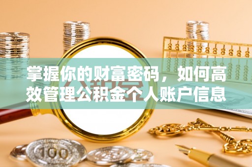 东源掌握你的财富密码，如何高效管理公积金个人账户信息