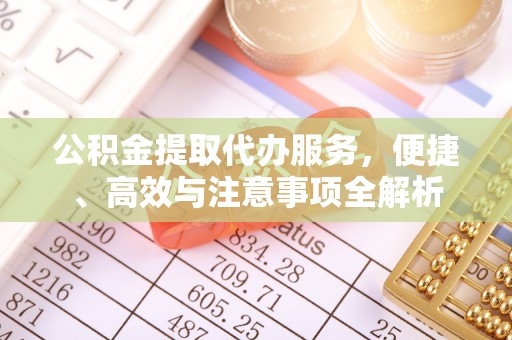 东源公积金提取代办服务，便捷、高效与注意事项全解析