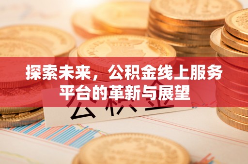 东源探索未来，公积金线上服务平台的革新与展望